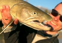 Bull Trout n’ Stuff