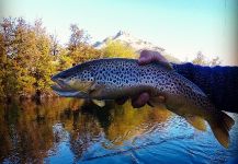 Tito Fly Expediciones  Tito Tagle 's Fly-fishing Photo of a Salmo fario | Fly dreamers 