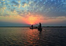 Nuevo parque nacional en los Esteros del Iberá