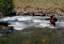 Pescando en aguas grandes