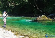 Impressive Fly-fishing Situation of Brown trout - Picture shared by Flyfishingodec Slovenia | Fly dreamers