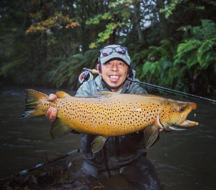 North Island New Zealand Trophy Brown