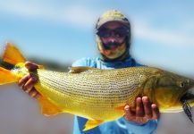 Fly-fishing Pic of River tiger shared by Marcelo Javier Suárez | Fly dreamers 