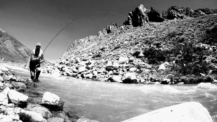 Situación de pesca en cordillera Mendocina