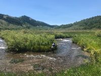 Foto de pesca con mosca