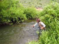 Foto de pesca con mosca