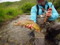 Foto de pesca con mosca