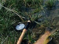 Foto de pesca con mosca