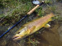 Foto de pesca con mosca