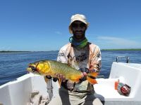 Fly fishing picture