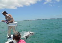 islamorada, Florida Keys, Florida, United States