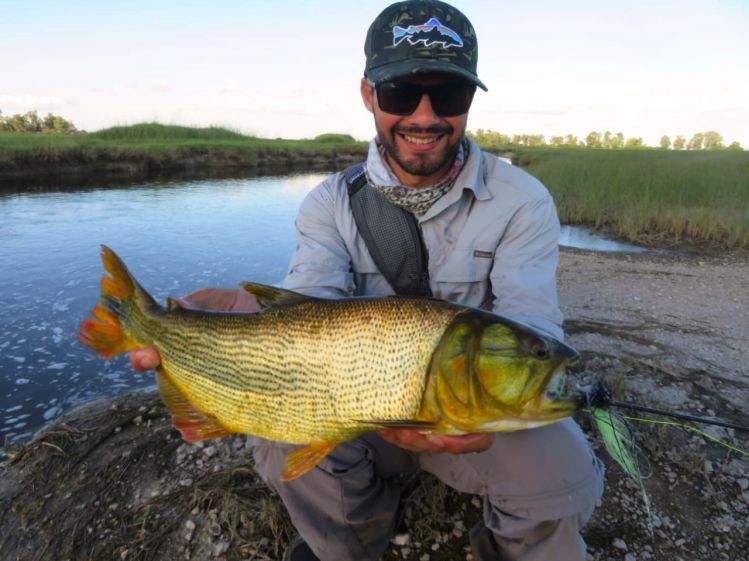 Dorados en pequeños arroyos, utilizando equipos livianos #4.