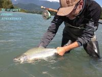 Squamish River Pink Salmon on the fly