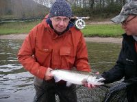 Fraser Valley Coho Salmon