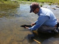 Foto de pesca con mosca