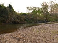 Fly fishing picture