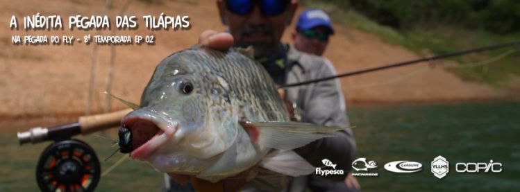 TILAPIA ON THE FLY!