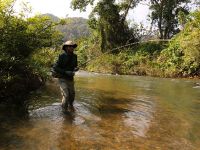 Fly fishing picture