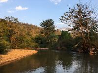 Fly fishing picture