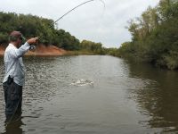 Foto de pesca con mosca