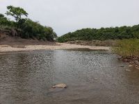 Foto de pesca con mosca