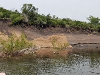 Foto de pesca con mosca