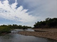 Fly fishing picture