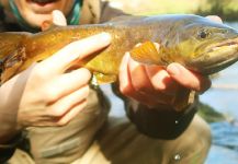  Fotografía de Pesca con Mosca de Salmo trutta por Flyfishingodec Slovenia | Fly dreamers 