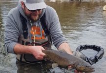 Great Fly-fishing Situation of Brownie - Image shared by Uros Kristan - URKO Fishing Adventures | Fly dreamers