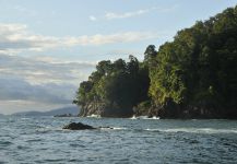 PESCA CON MOSCA EN EL OCEANO PACIFICO COLOMBIANO