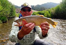 Mark Greer 's Fly-fishing Image of a Cuttie | Fly dreamers 