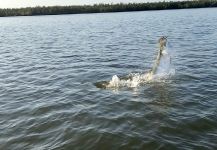 Everglades national park, Miami, Florida, United States