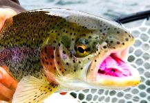 Alaska Fly fishing Float Trips in Bristol Bay and Southwest Alaska