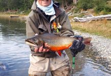  Foto de Pesca con Mosca de Salvelinus fontinalis compartida por Ushuaia  Fishing | Fly dreamers