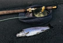 Maki Caenis 's Fly-fishing Photo of a English trout | Fly dreamers 