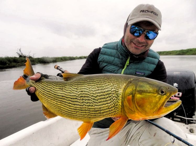 Dorados en Villa Constitución 