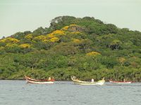 Foto de pesca con mosca