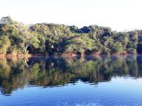 Foto de pesca con mosca