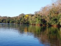 Foto de pesca con mosca