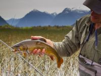 Foto de pesca con mosca