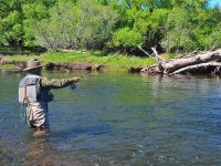 Fly fishing picture