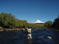 Fly fishing picture