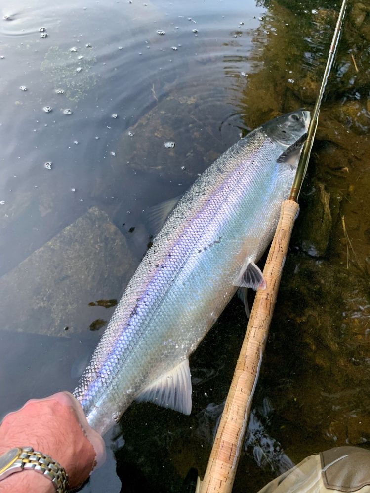 Upper Tay Fishing