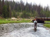 Foto de pesca con mosca