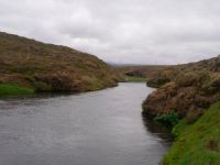 Fly fishing picture