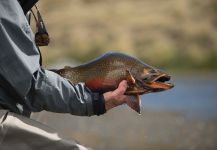  Captura de Pesca con Mosca de Brookies por Juan Manuel Biott | Fly dreamers