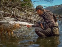 Fly fishing picture