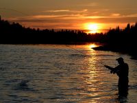 Fly fishing picture