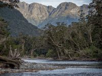 Fly fishing picture