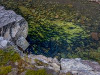 Fly fishing picture